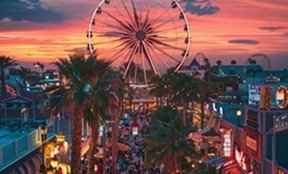 Your Miami Adventure Awaits media 3