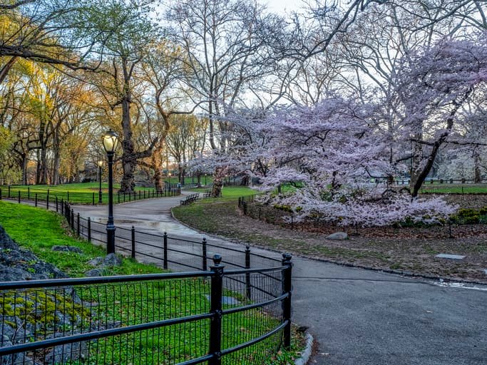 Blooming parks & mild weather