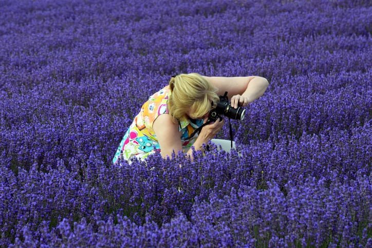 Harvest season, colorful landscapes France