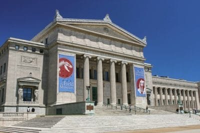 Explore The Field Museum of Natural History