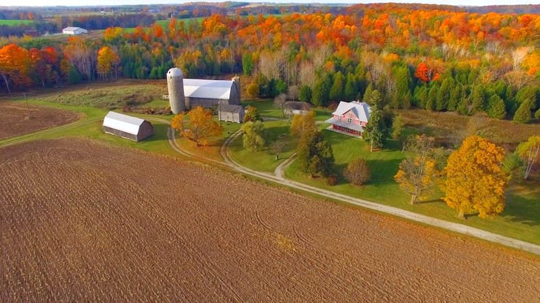 Colorful foliage, harvest season
